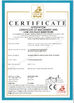 Chiny Suzhou Smart Motor Equipment Manufacturing Co.,Ltd Certyfikaty
